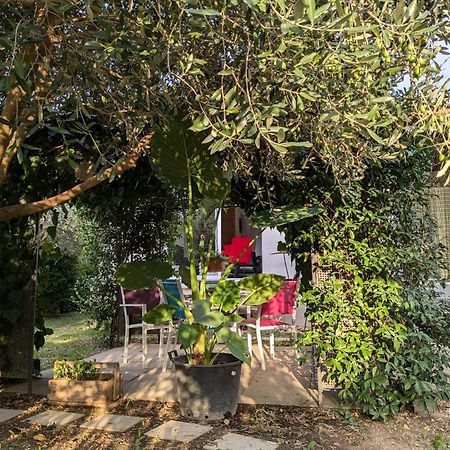 Morieres-les-Avignon La Maison Sous L'Olivierヴィラ エクステリア 写真